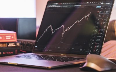 Picking Winning Stocks Is Like Finding a Needle in a Haystack