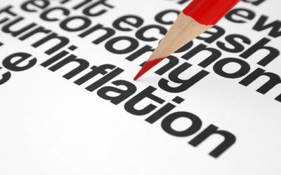 The Pessimistic Economist